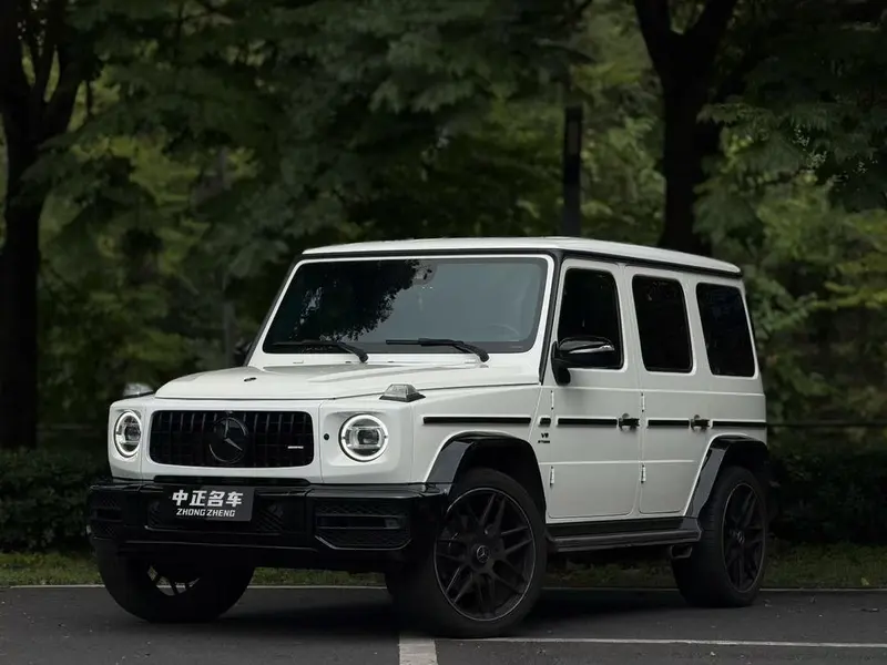 Mercedes-Benz G-Class G 350, 2020 — фото 1