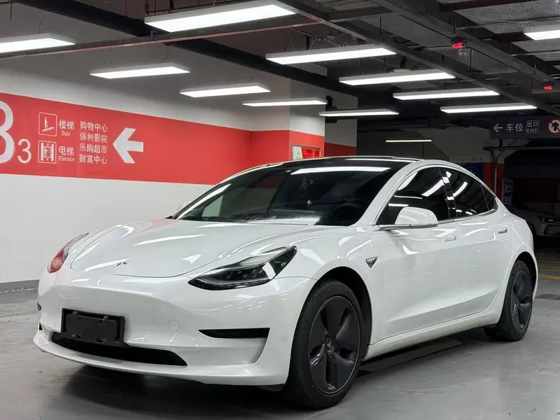 Tesla Model 3 Standard Range RWD Upgraded Edition, 2020 — фото 1