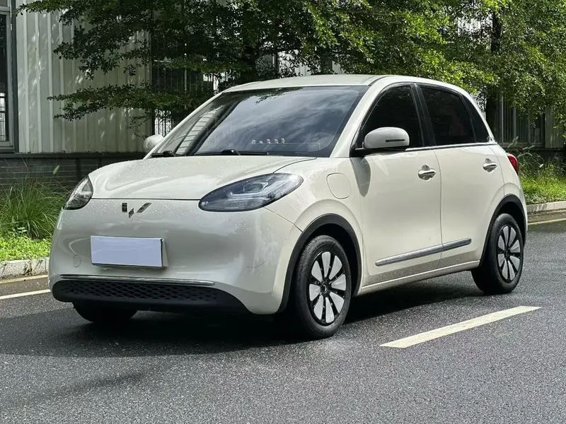 Wuling Bingo, 2024