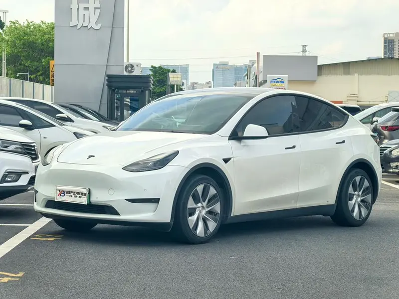 Tesla Model Y Standard Range Edition, 2021 — фото 1
