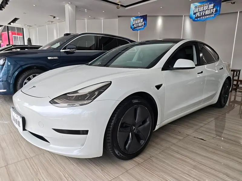 Tesla Model 3 Standard Range RWD Upgraded Edition, 2020 — фото 1