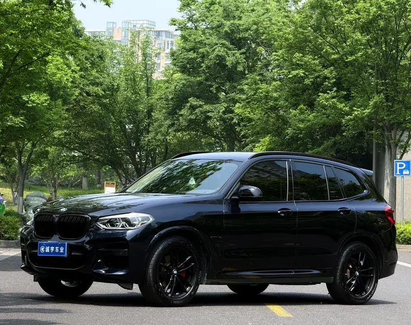 BMW X3 xDrive25i M Sport, 2021 — фото 1