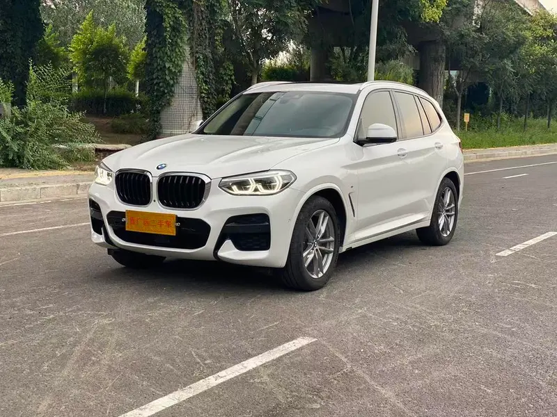 BMW X3 xDrive30i Leading Version M Sport, 2019 — фото 1