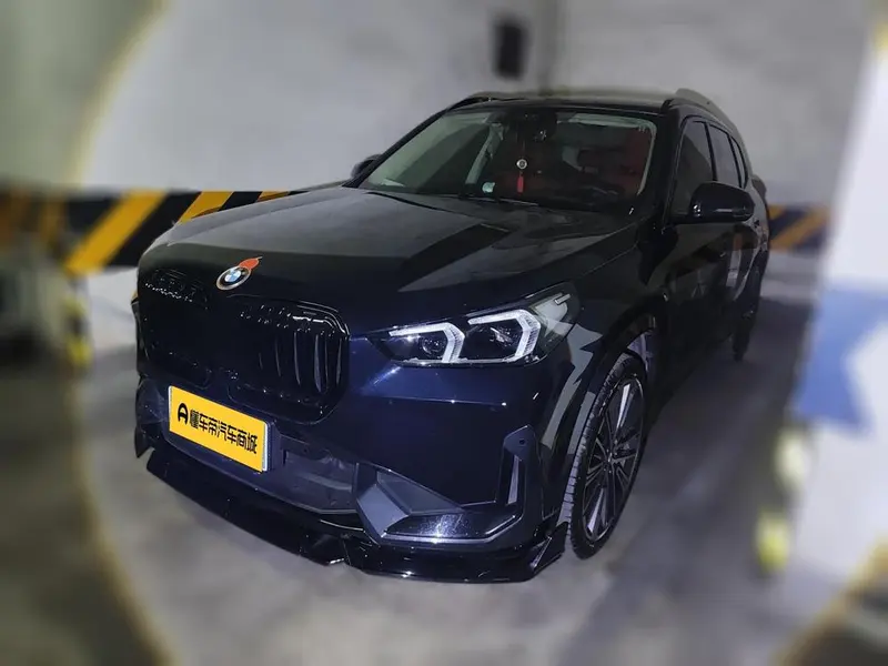 BMW X1 xDrive25Li X, 2023 — фото 1