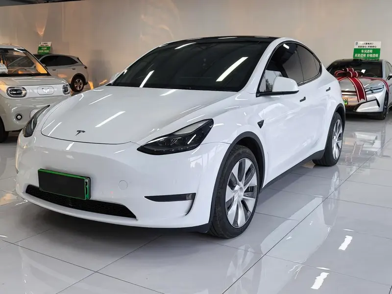 Tesla Model Y Long Range AWD Edition, 2021 — фото 1