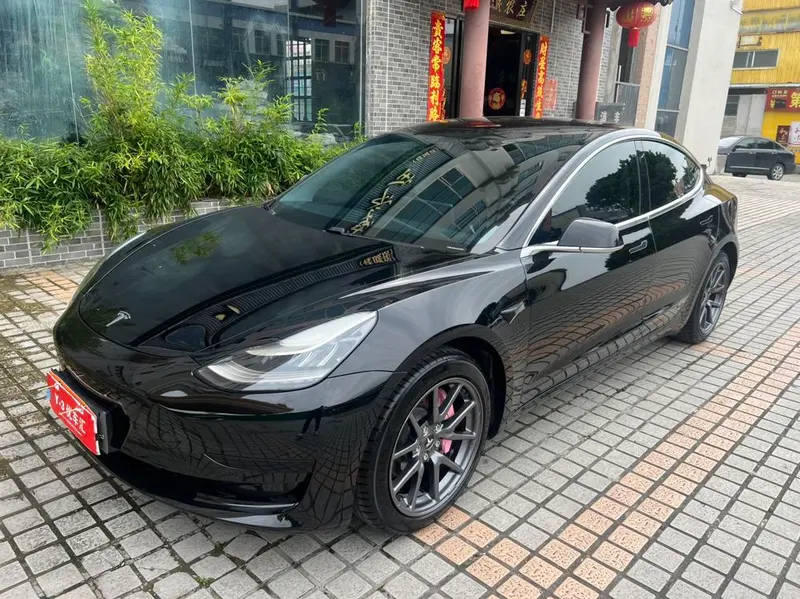 Tesla Model 3 Standard Range RWD Upgraded Edition, 2020 — фото 1