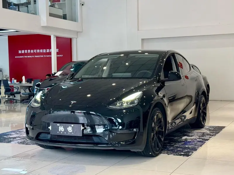 Tesla Model Y Long Range AWD Edition, 2021 — фото 1