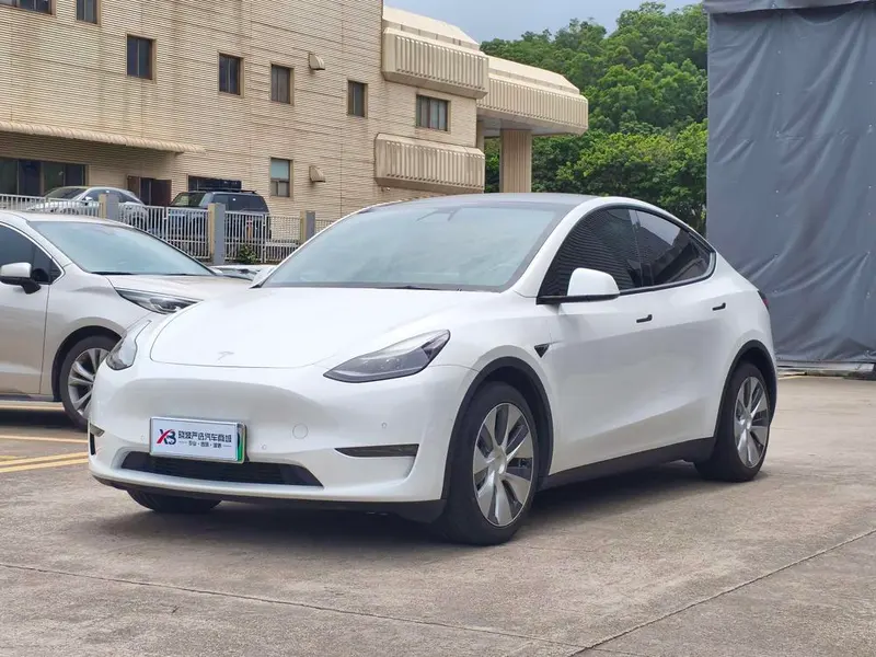 Tesla Model Y Long Range AWD Edition, 2021 — фото 1