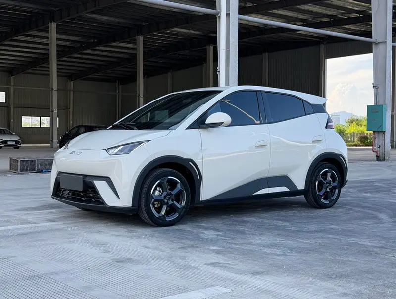 BYD Seagull, 2024