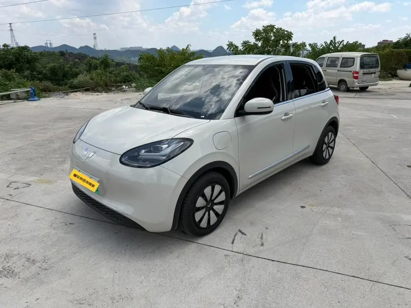 Wuling Bingo, 2024
