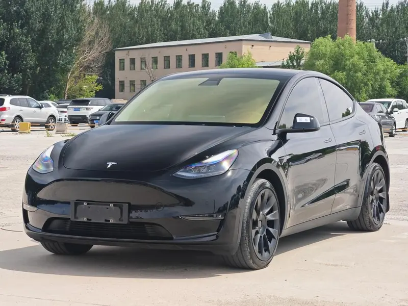 Tesla Model Y Standard Range Edition, 2021 — фото 1