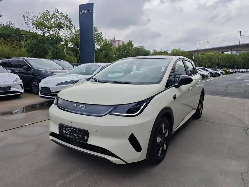 BYD Dolphin Smart Drive Edition 410KM Fashion Edition, 2025 — фото 1