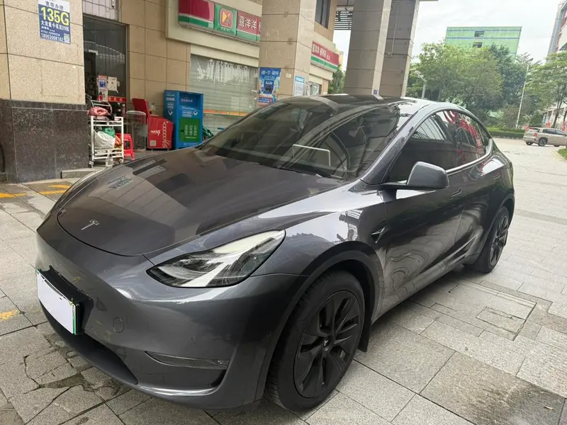 Tesla Model Y Long Range AWD Edition, 2021 — фото 1