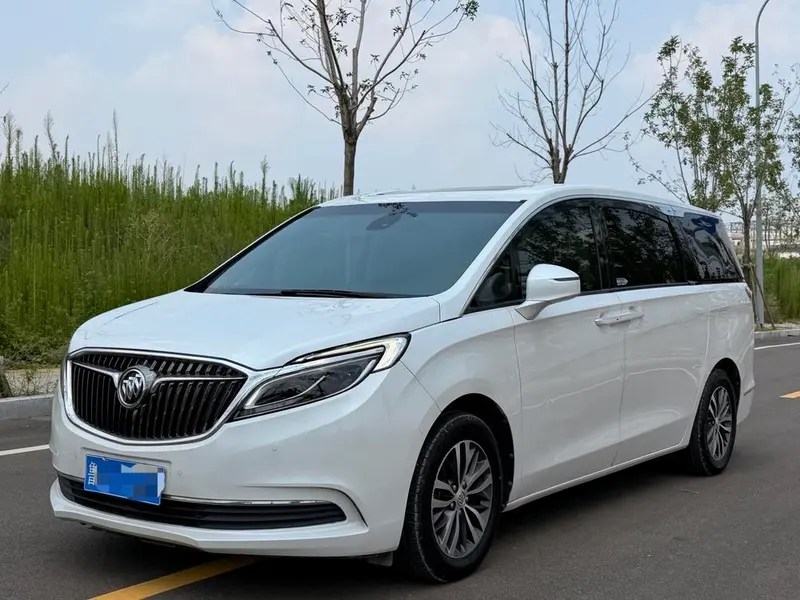Buick GL8 ES 28T Luxury Version CN6, 2018 — фото 1