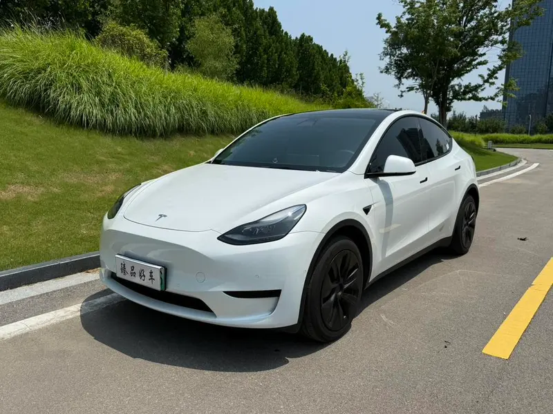 Tesla Model Y Edition, 2023 — фото 1