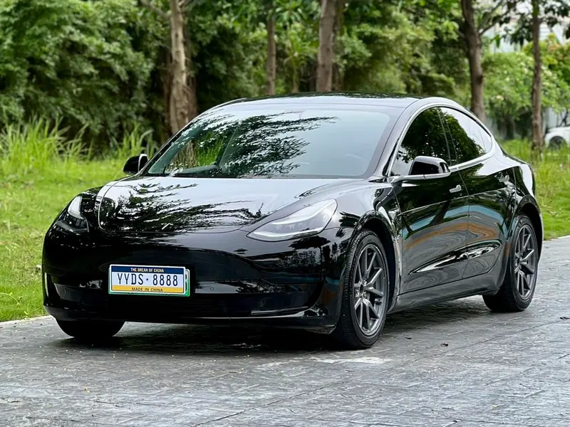 Tesla Model 3 Standard Range RWD Upgraded Edition, 2020 — фото 1
