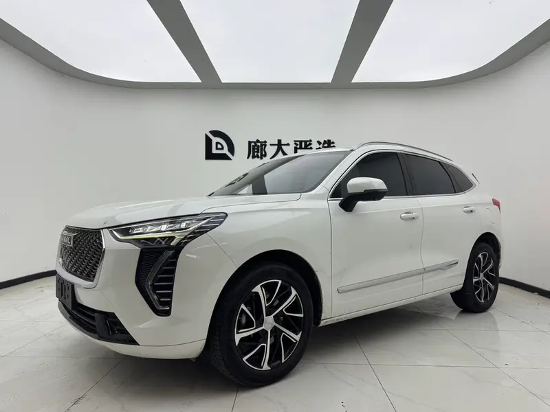 Haval Jolion, 2021