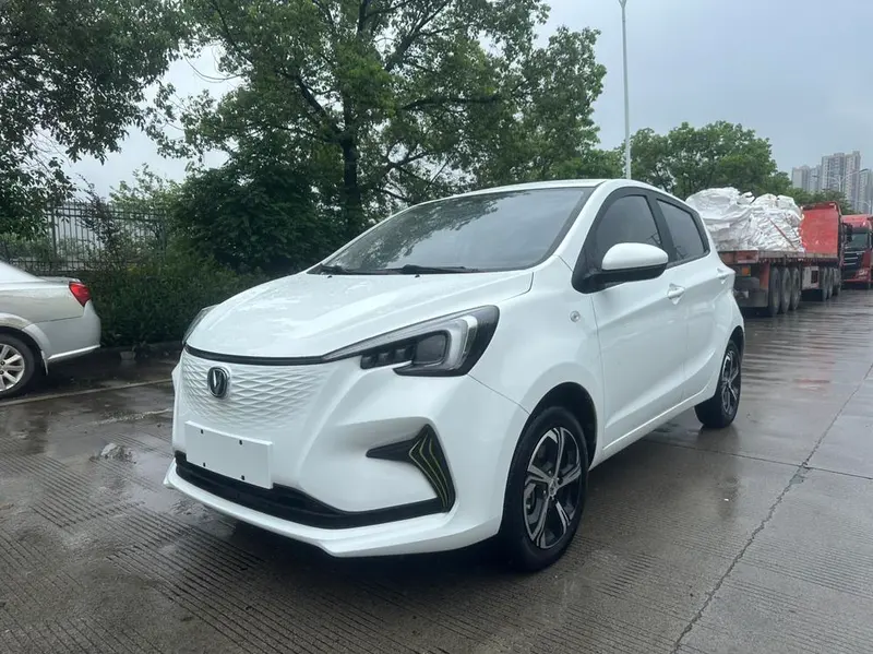 Changan Oshan Benni E-Star Edition Model NCM, 2022 — фото 1