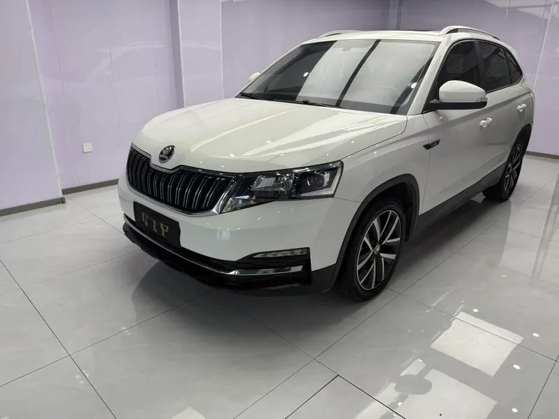 Skoda Kamiq 1.5L Auto Edition, 2022 — фото 1