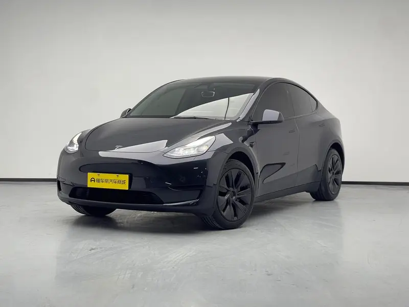 Tesla Model Y Edition, 2024 — фото 1