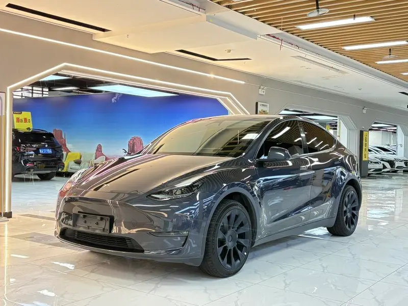 Tesla Model Y Long Range AWD Edition, 2024 — фото 1