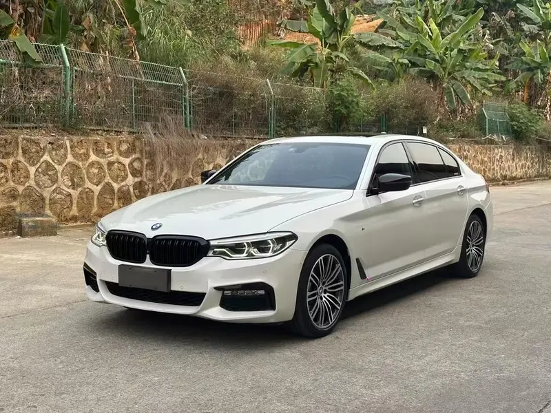 BMW 5-Series, 2019