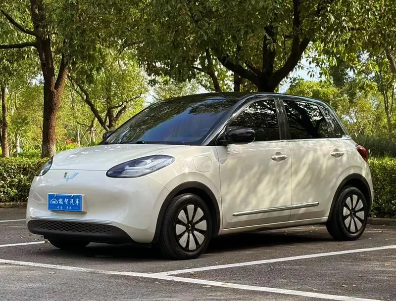 Wuling Bingo, 2023