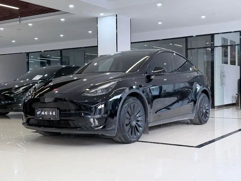 Tesla Model Y Standard Range Edition, 2021 — фото 1