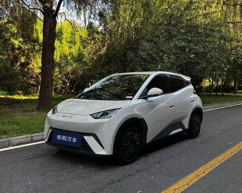BYD Seagull, 2024