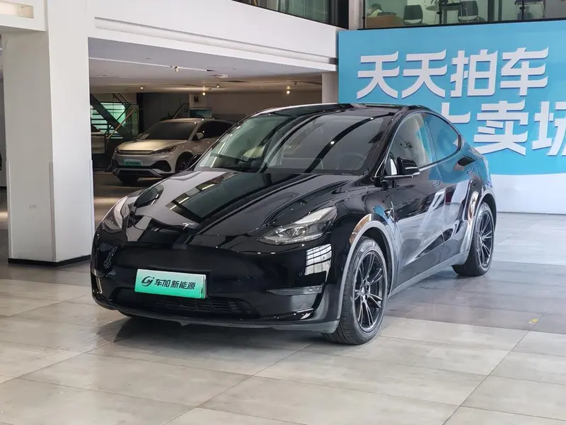 Tesla Model Y Long Range AWD Edition, 2021 — фото 1