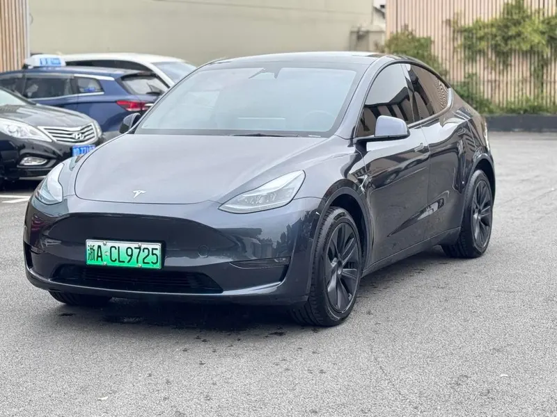 Tesla Model Y Long Range AWD Edition, 2024 — фото 1
