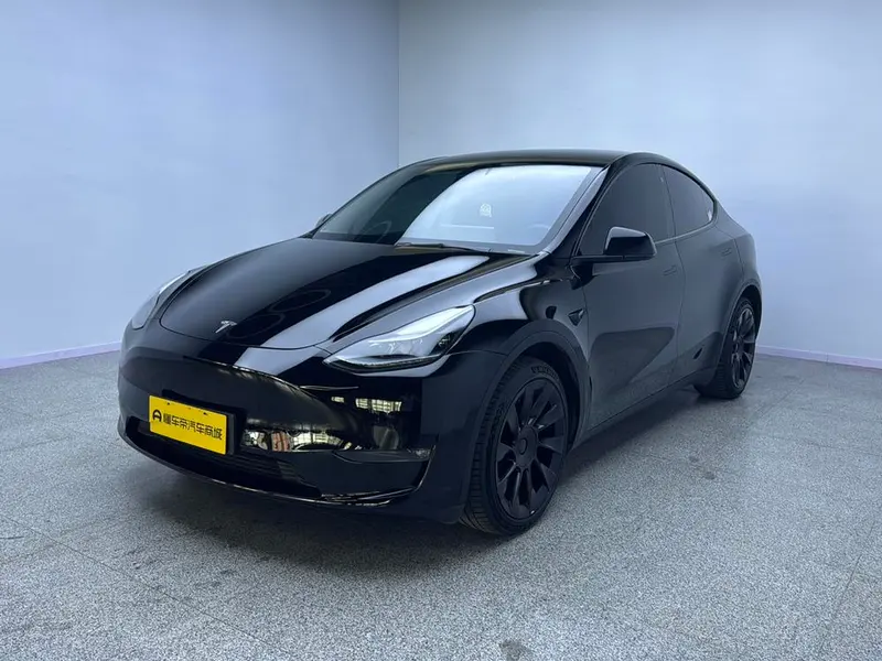 Tesla Model Y Long Range AWD Edition 3D3/3D7, 2021 — фото 1
