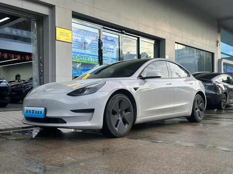 Tesla Model 3 Edition, 2022 — фото 1