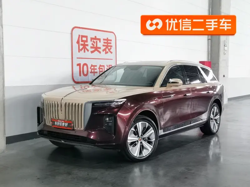 Hongqi E-HS9 510km Smooth Edition 6-Seater, 2020 — фото 1