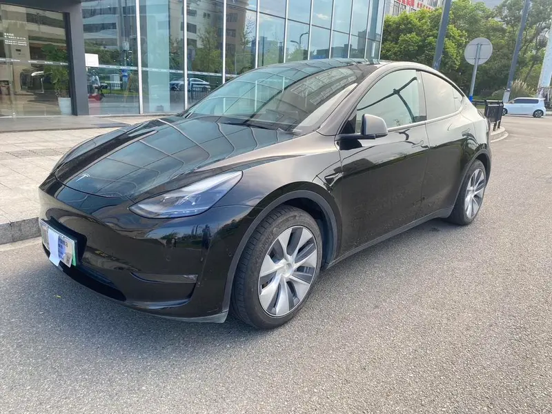 Tesla Model Y Standard Range Edition, 2021 — фото 1
