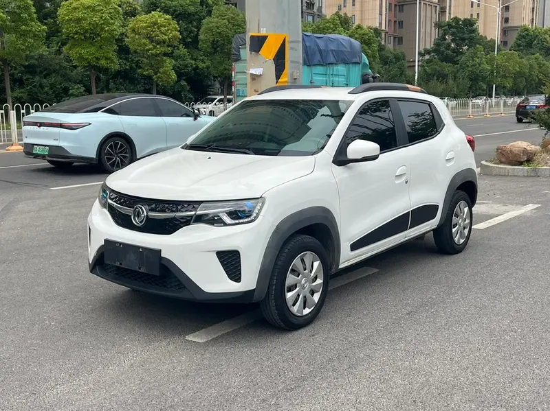 Dongfeng Nami Dongfeng Nano EX1 Edition, 2020 — фото 1