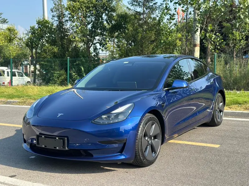 Tesla Model 3 Standard Range RWD Upgraded Edition, 2021 — фото 1