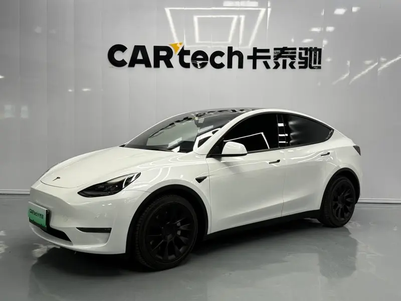 Tesla Model Y Long Range AWD Edition, 2021 — фото 1
