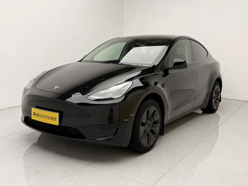 Tesla Model Y Edition, 2023 — фото 1