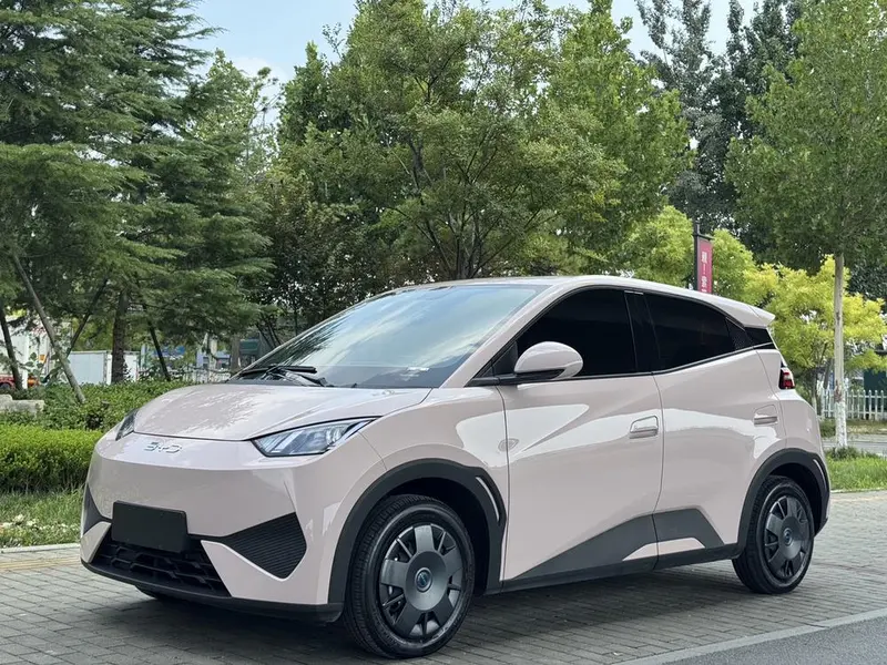 BYD Seagull, 2025