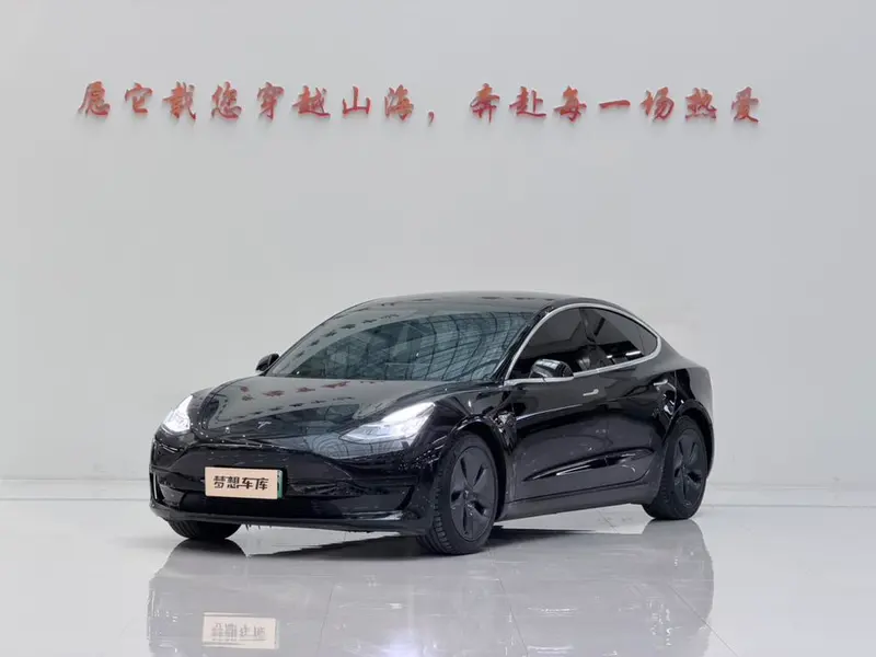 Tesla Model 3 Standard Range RWD Upgraded Edition, 2020 — фото 1