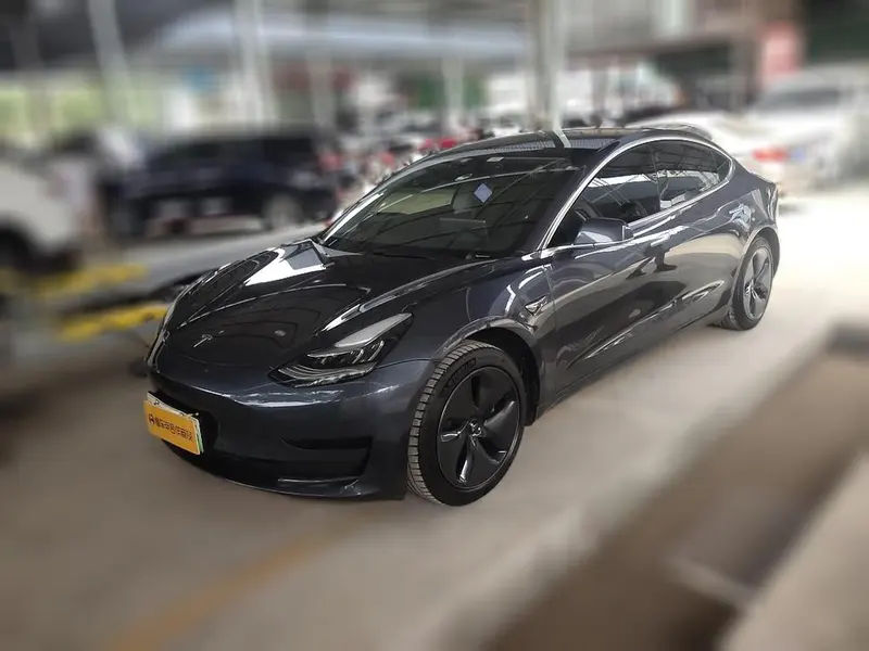 Tesla Model 3 Standard Range RWD Upgraded Edition, 2020 — фото 1