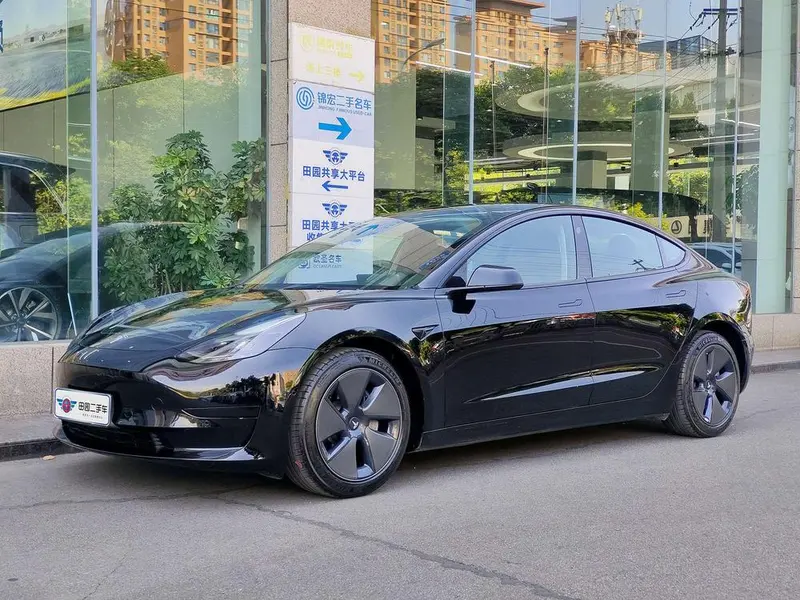 Tesla Model 3 Standard Range RWD Upgraded Edition 3D6, 2021 — фото 1