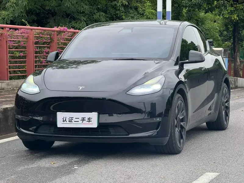 Tesla Model Y Standard Range Edition, 2021 — фото 1