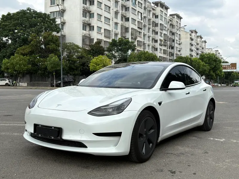 Tesla Model 3 Standard Range RWD Upgraded Edition 3D1, 2021 — фото 1