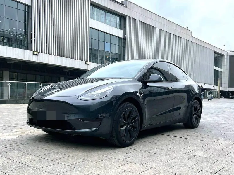 Tesla Model Y Edition, 2024 — фото 1