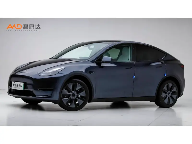 Tesla Model Y Edition, 2024 — фото 1