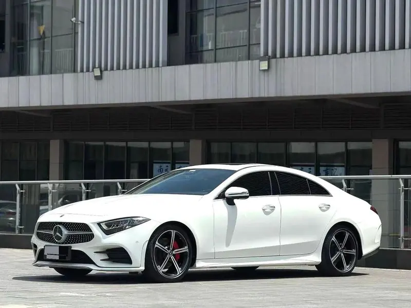 Mercedes-Benz CLS CLS 300 Luxury Version, 2020 — фото 1