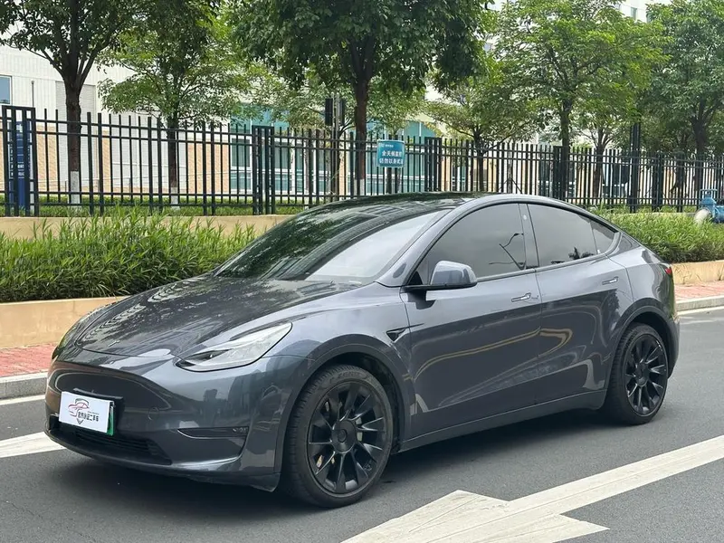 Tesla Model Y Long Range AWD Edition, 2021 — фото 1