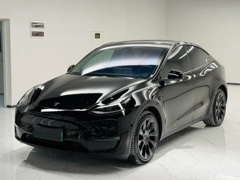 Tesla Model Y Long Range AWD Edition, 2021 — фото 1